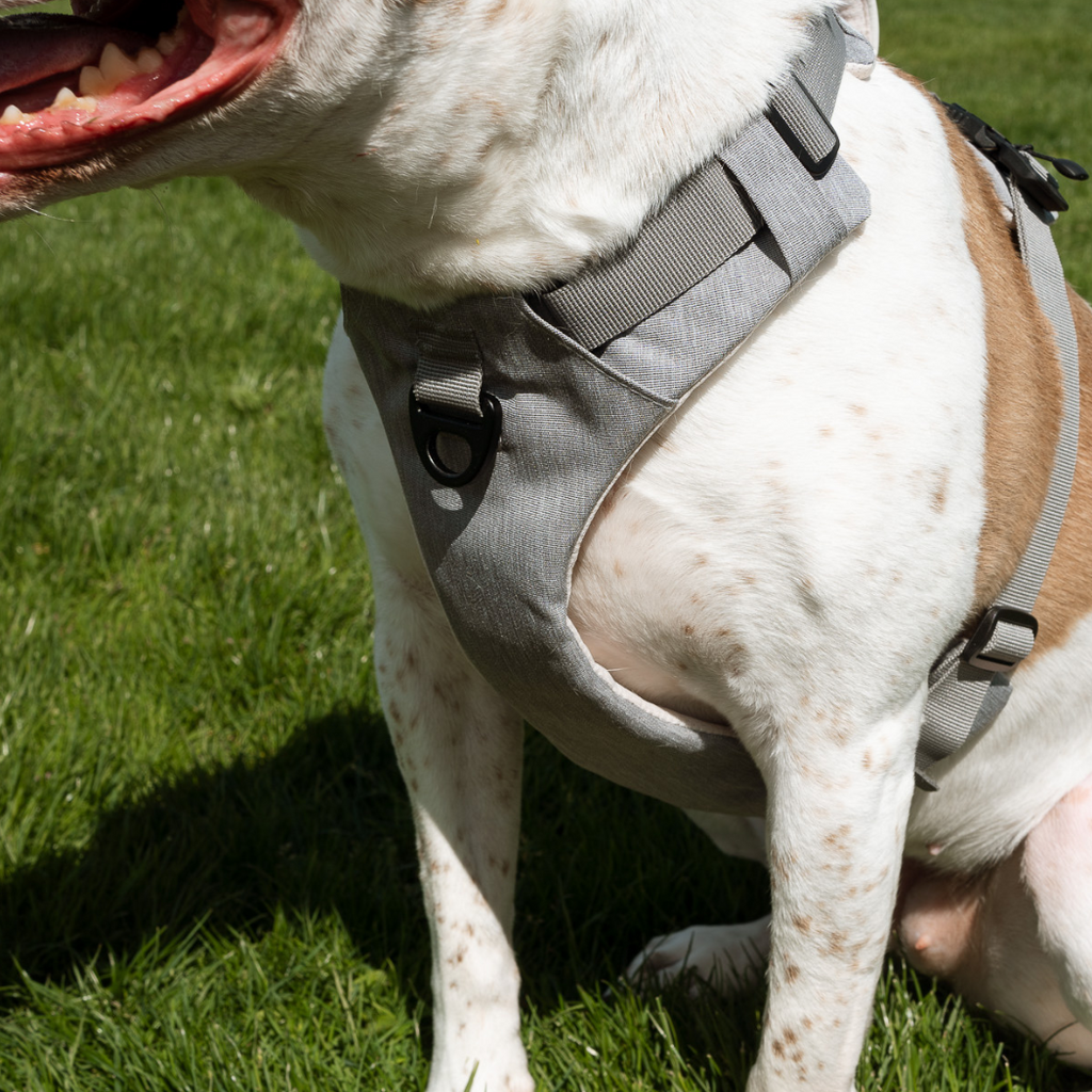 Magnetic Dog Harness - One-Hand Clip, No-Pull Design